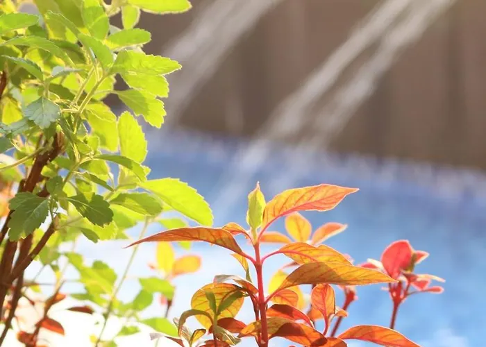 Barefoot Sanctuary At The Coast Apartahotel Manila